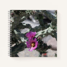 Challa Cactus en floración