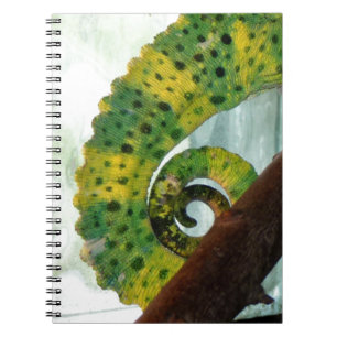 Cuaderno Chameleon Tail
