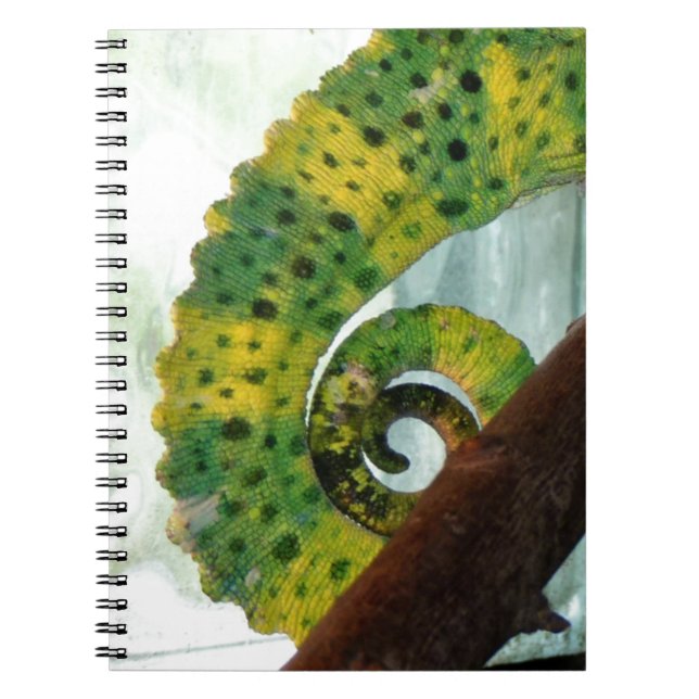 Cuaderno Chameleon Tail (Frente)
