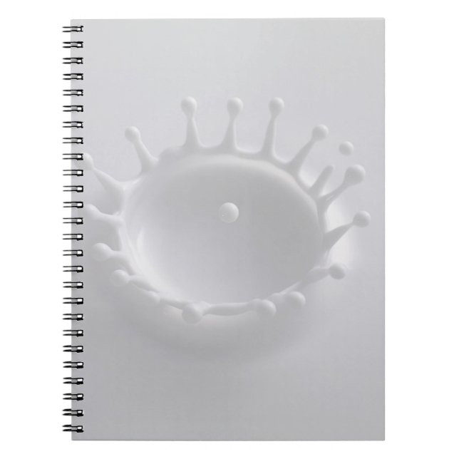 Cuaderno Chapoteo de la leche (Frente)