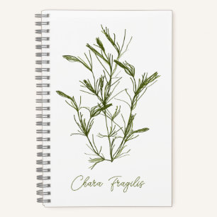 Cuaderno Chara Fragilis Inspirada en el Mar