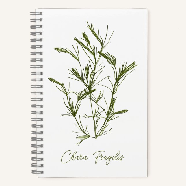 Cuaderno Chara Fragilis Inspirada en el Mar (Anverso)