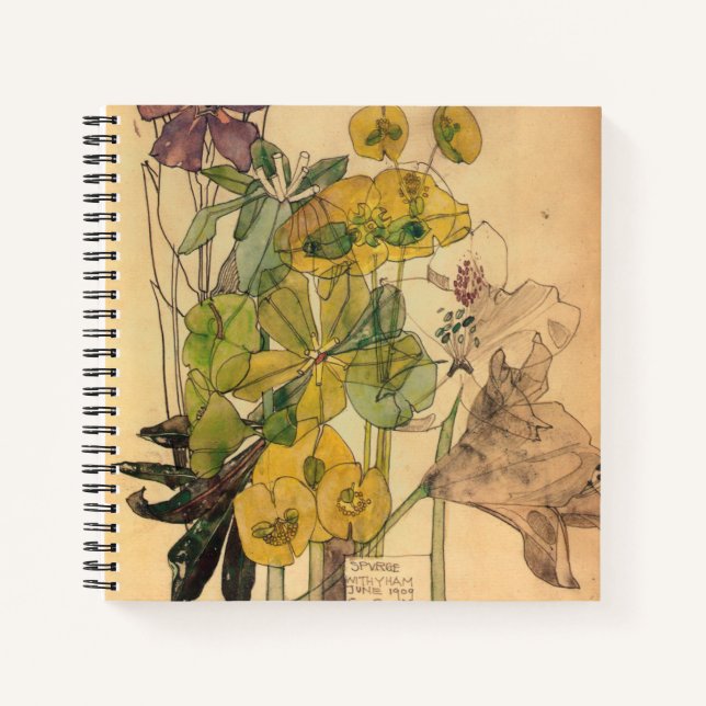 Cuaderno Charles Rennie Mackintosh - Spurge With Yham 1909 (Anverso)
