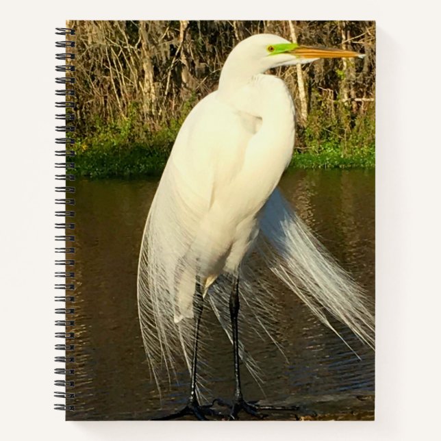 Cuaderno Charlie The Great Egret (Anverso)