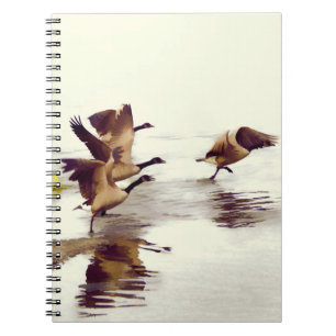 Cuaderno "Chase de oca salvaje" - Geese en funcionamiento