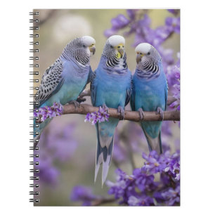 Cuaderno Chatter De Árbol Superior: Budgies Azules En El Ár