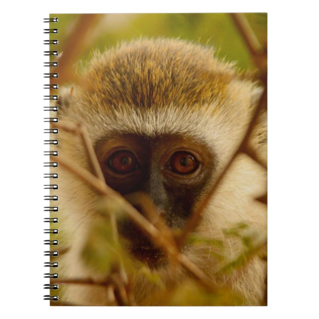Cuaderno Cheeky Monkey. (Frente)