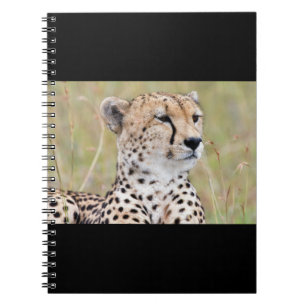 Cuaderno Cheetah
