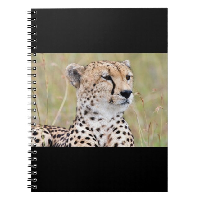 Cuaderno Cheetah (Frente)