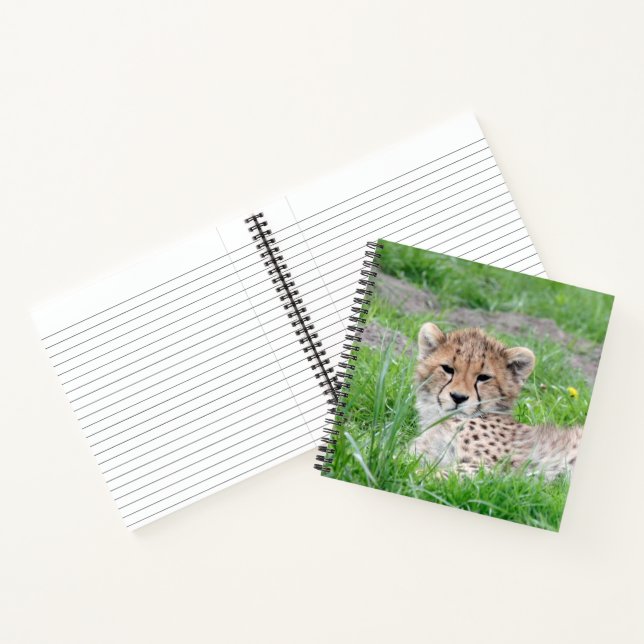 Cuaderno Cheetah 002 (Interior)