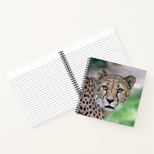 Cuaderno Cheetah 009 (Interior)