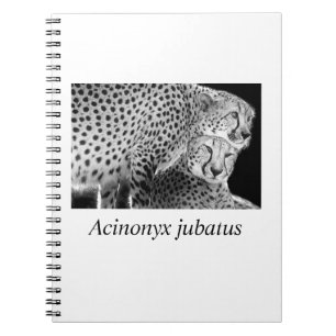 Cuaderno Cheetah#1