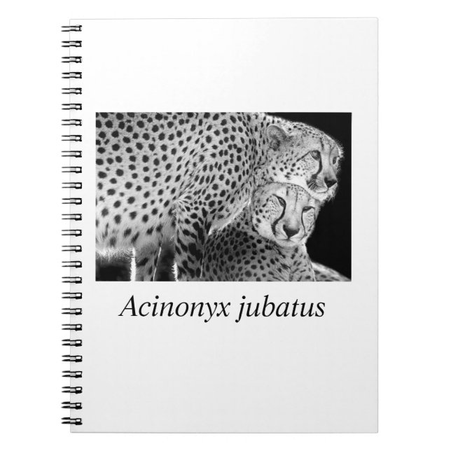 Cuaderno Cheetah#1 (Frente)