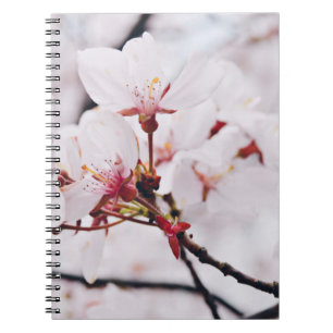 CUADERNO CHERRY BLOSSOM FLOWERS IN MACRO SHOT