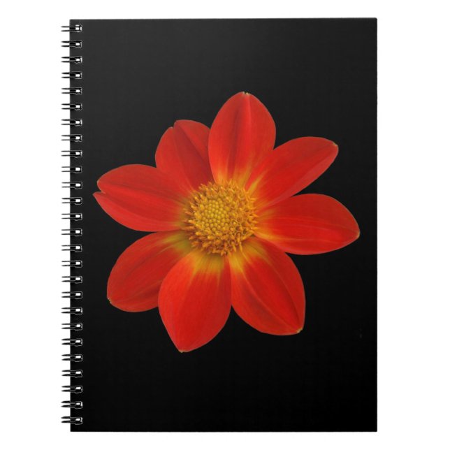 Cuaderno Cherub alpino (Dahlia) (Frente)
