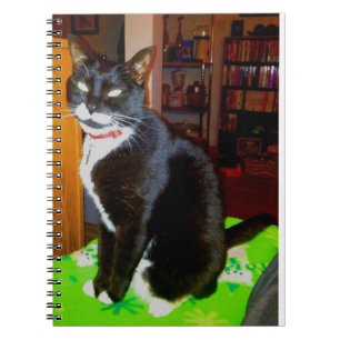 Cuaderno Chica bonito Lucy