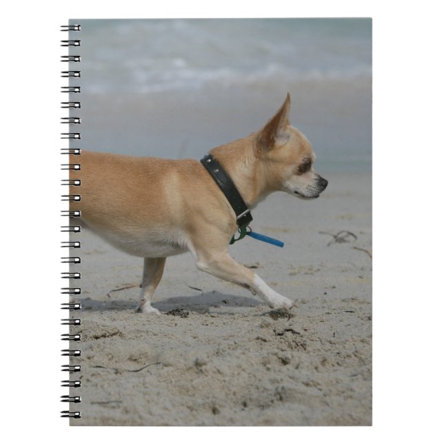 Cuaderno Chihuahua en la playa (Frente)
