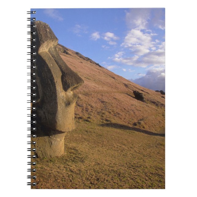 Cuaderno Chile, Isla de Pascua. Ladera con Moai (Frente)