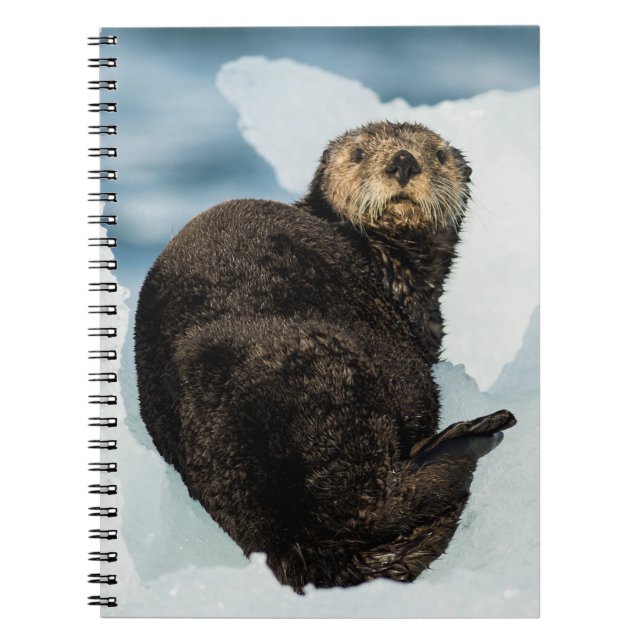 Cuaderno Chilly Sea Otter (Frente)
