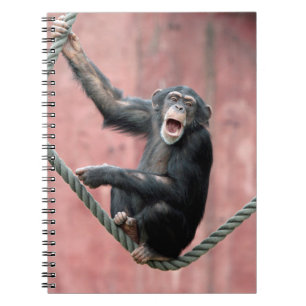 Cuaderno Chimpanzee 001