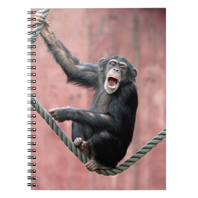 Cuaderno Chimpanzee 001 (Frente)