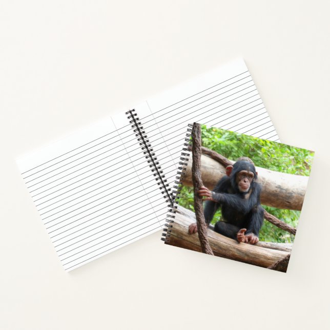 Cuaderno Chimpanzee 001 (Interior)