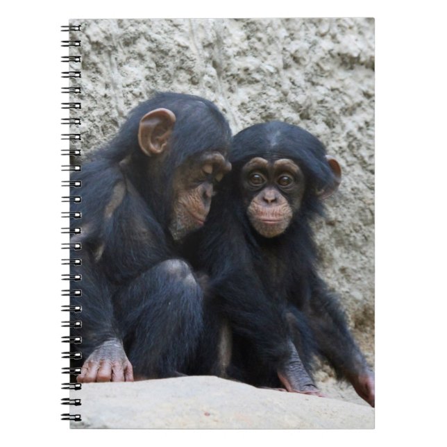 Cuaderno Chimpanzee 002 (Frente)