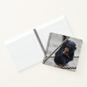 Cuaderno Chimpanzee 030