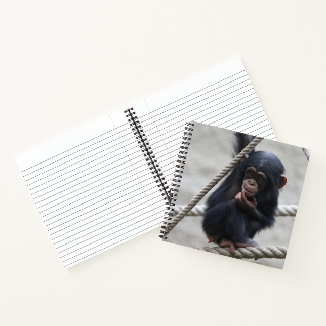 Cuaderno Chimpanzee 030 (Interior)