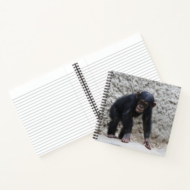 Cuaderno Chimpanzee 031 (Interior)