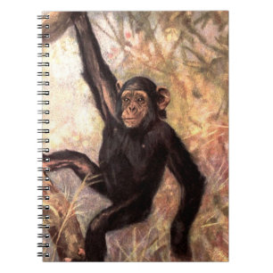Cuaderno chimpanzeehangingintree002_original