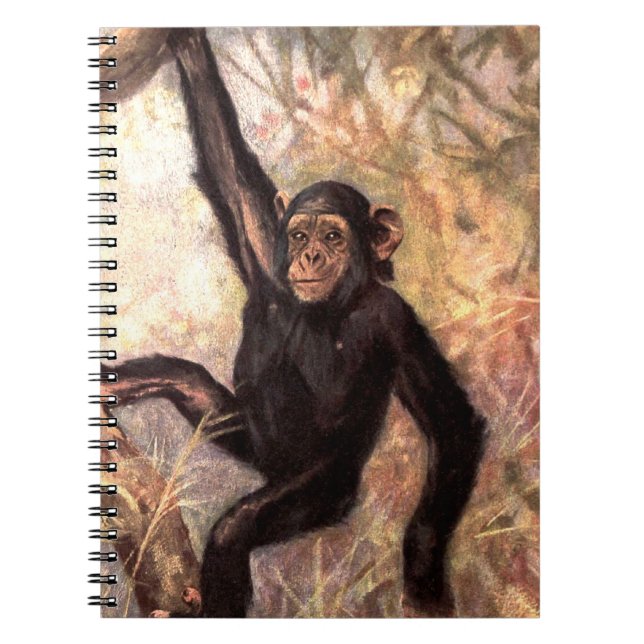 Cuaderno chimpanzeehangingintree002_original (Frente)
