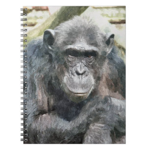 CUADERNO CHIMPANZEES