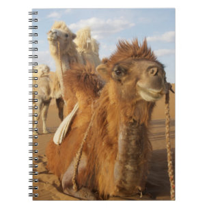 Cuaderno China, Mongolia Interior, Desierto de Badain Jaran