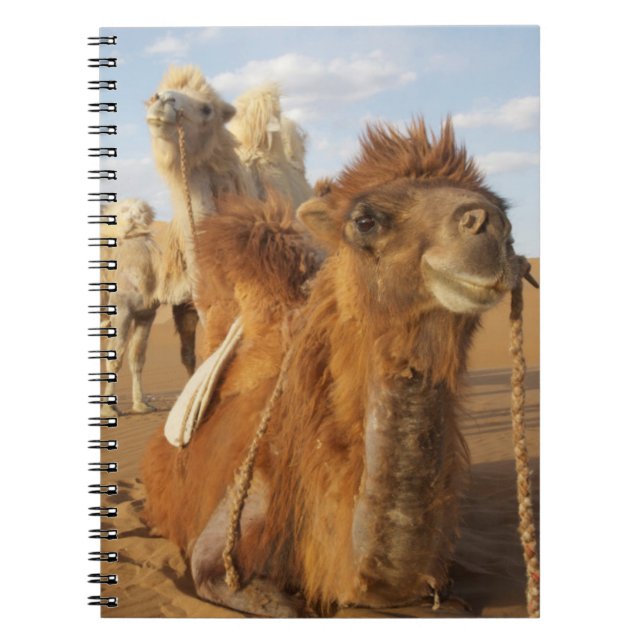 Cuaderno China, Mongolia Interior, Desierto de Badain Jaran (Frente)