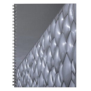 Cuaderno China, Pekín. Centro Nacional de Acuática