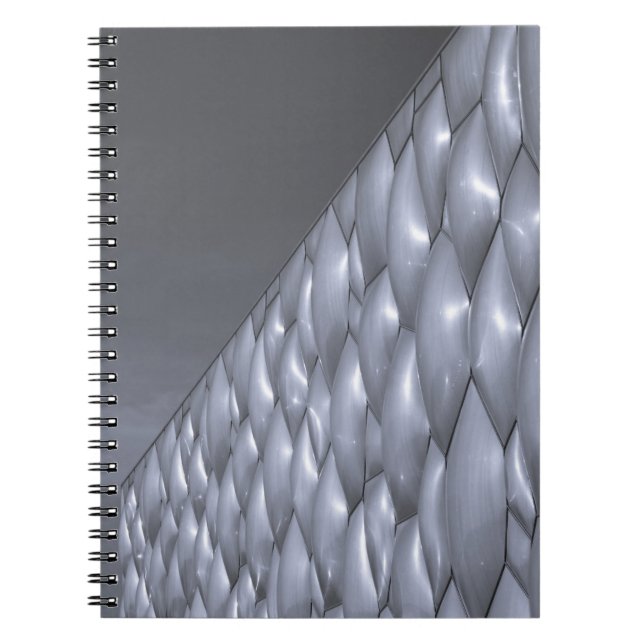Cuaderno China, Pekín. Centro Nacional de Acuática (Frente)