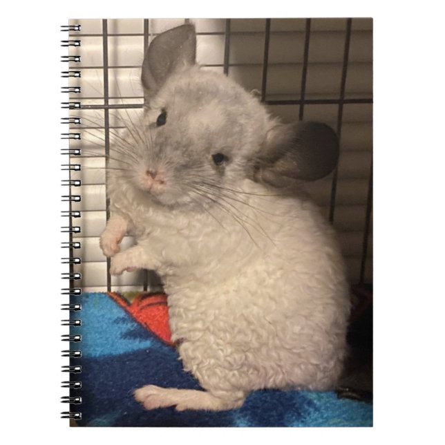 Cuaderno chinchilla (Frente)