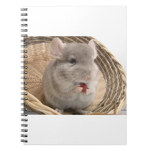 Cuaderno chinchilla (Frente)