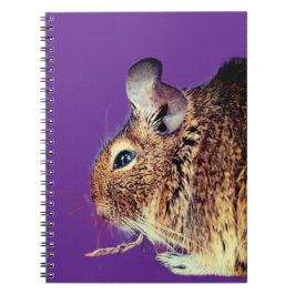 Cuaderno Chinchilla