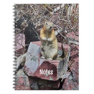 Cuaderno Chipmunk en el Parque Nacional del Glaciar Fotogra
