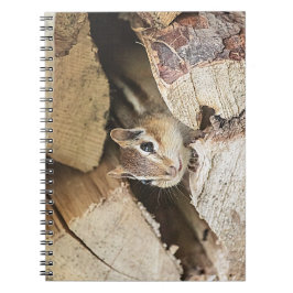 Cuaderno Chipmunk en una pila de madera