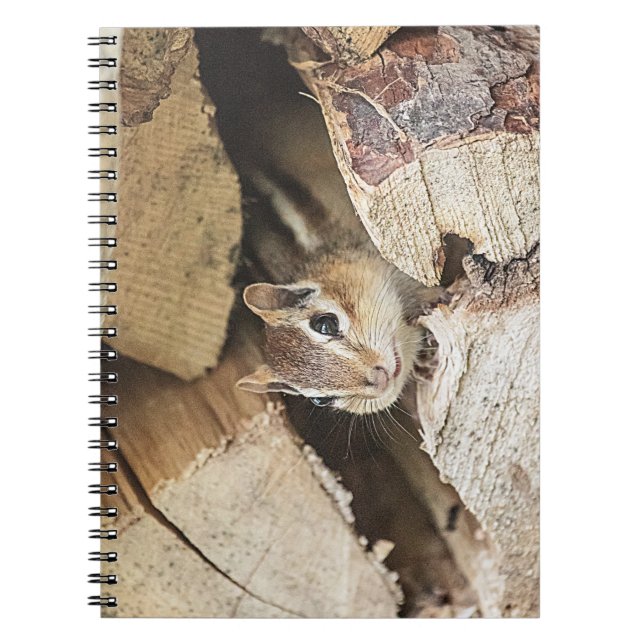 Cuaderno Chipmunk en una pila de madera (Frente)
