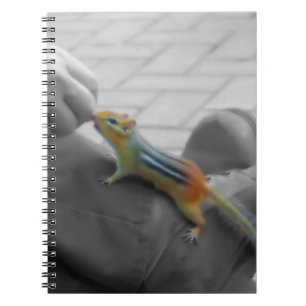Cuaderno Chipmunk Lunch