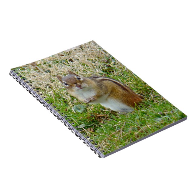 Cuaderno Chipmunk oriental (Lado Derecho)