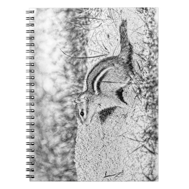 Cuaderno Chipmunk Sketch (Frente)