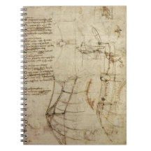 Chisme del vuelo de da Vinci