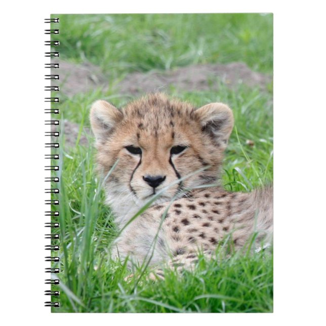 Cuaderno Chita20150904 (Frente)