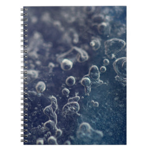 Cuaderno Choceradská