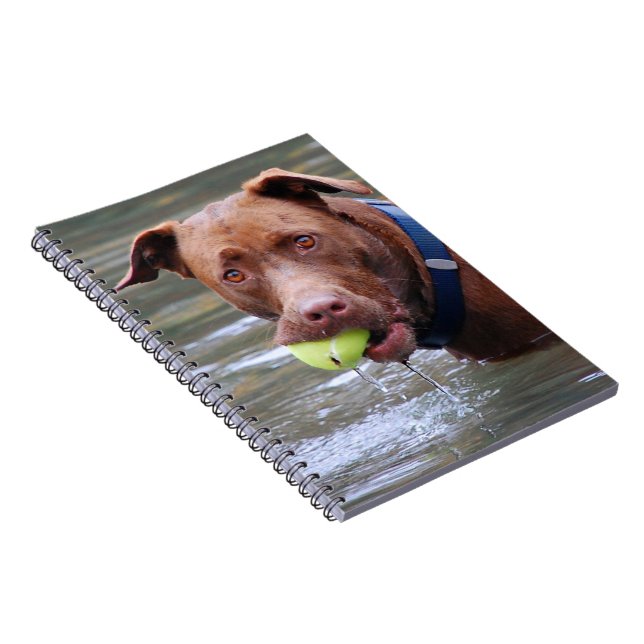 Cuaderno Chocolate Lab Pit Mezcla Perro con Pelota (Lado Derecho)